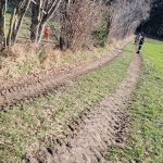 2024-03-12_suchaktion miesenbach_004